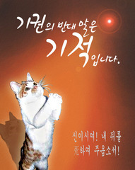 고양이 쥐사.JPG